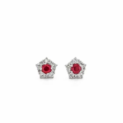 Earrings |   9Ct White Gold Diamond & Ruby Cluster Stud Earrings Earrings Earrings