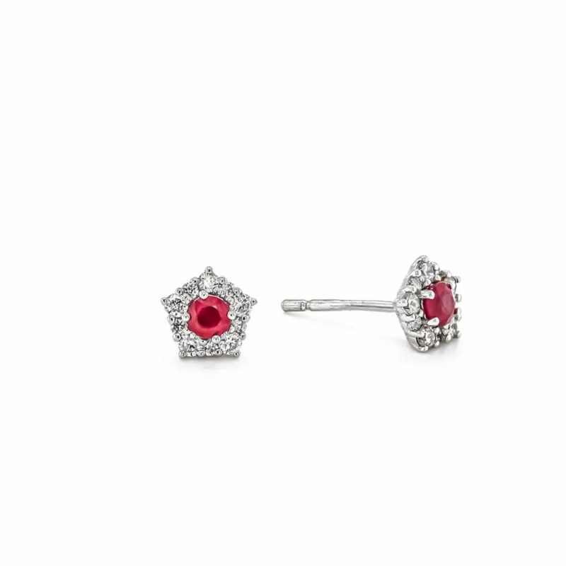 Earrings |   9Ct White Gold Diamond & Ruby Cluster Stud Earrings Earrings Earrings