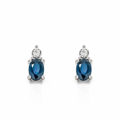 Earrings |   9Ct White Gold Diamond & Sapphire Stud Earrings Earrings Earrings