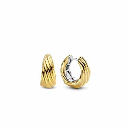 Earrings |   Silver And Gold Plated Lined Twist Tapered Hoop Earrings 7856Sy Earrings Earrings