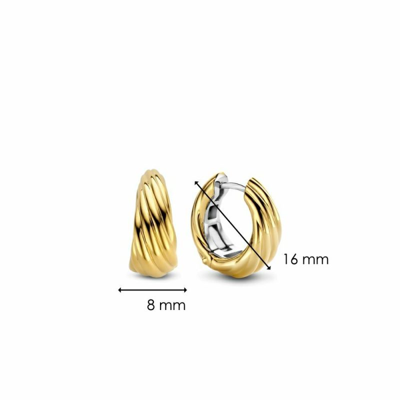 Earrings |   Silver And Gold Plated Lined Twist Tapered Hoop Earrings 7856Sy Earrings Earrings