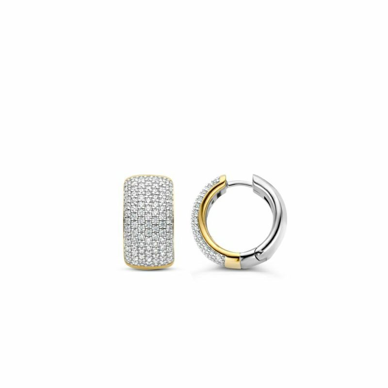 Earrings |   Silver And Yellow Plated Wide Cz Hoop Earrings 7853Zy Earrings Earrings